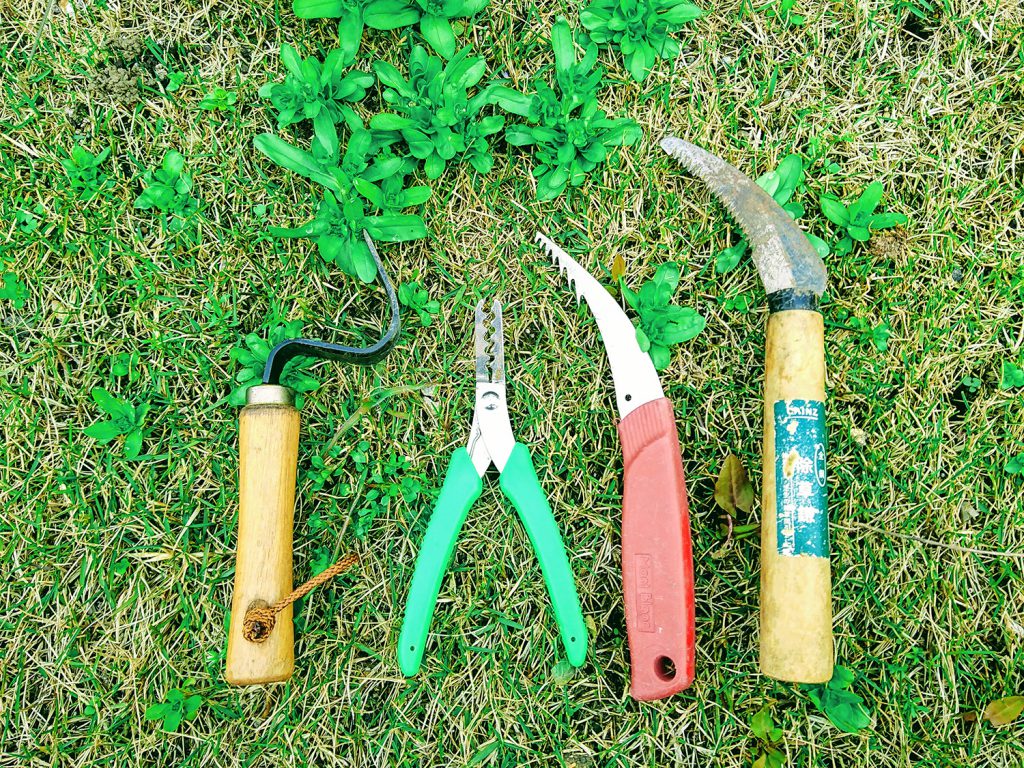 芝太郎が使っている、芝生の雑草を抜く道具を紹介。 芝太郎の芝活ブログ